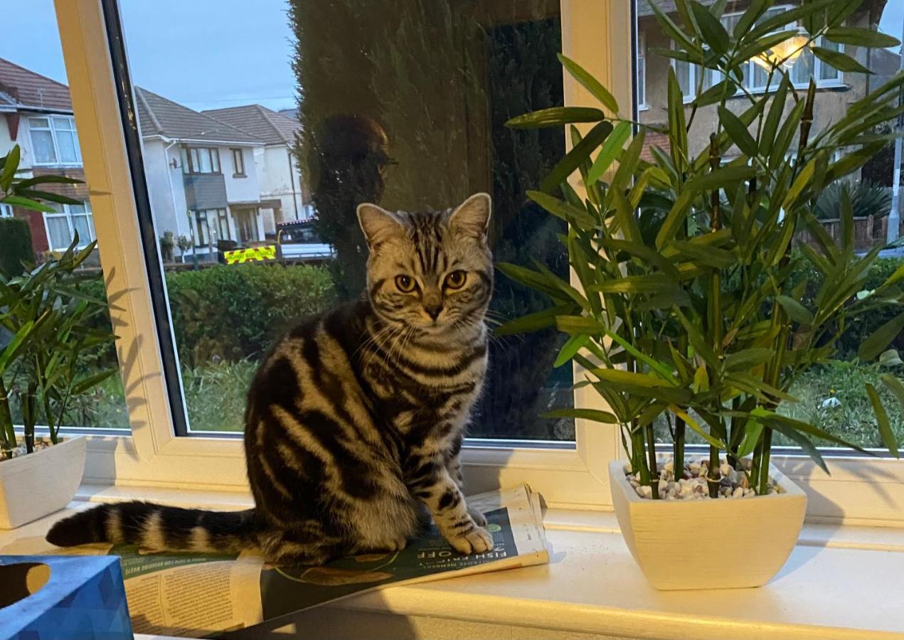 Winton House Home Stay Bournemouth Dış mekan fotoğraf